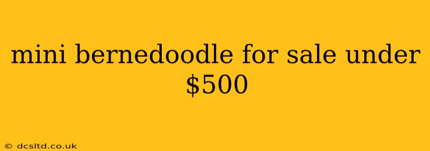 mini bernedoodle for sale under $500
