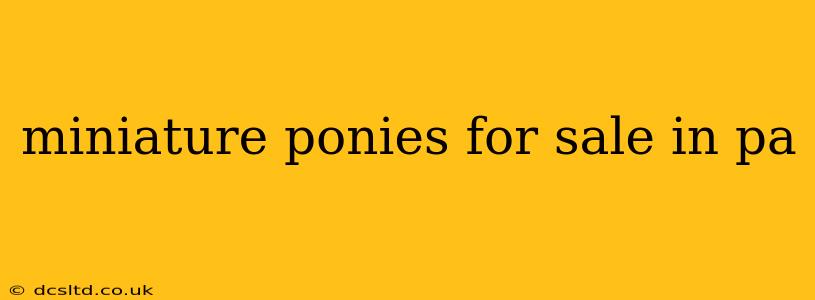 miniature ponies for sale in pa
