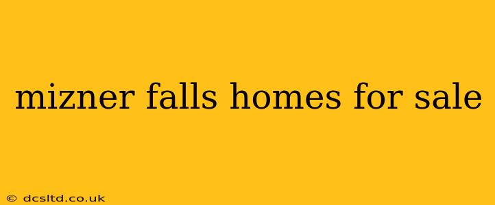 mizner falls homes for sale