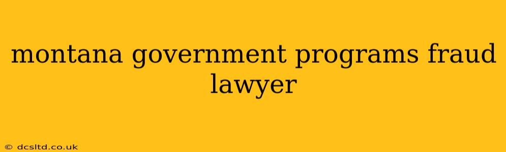 montana government programs fraud lawyer