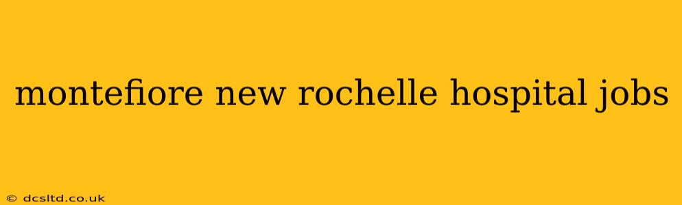 montefiore new rochelle hospital jobs