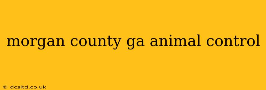 morgan county ga animal control
