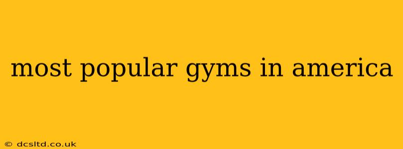 most popular gyms in america
