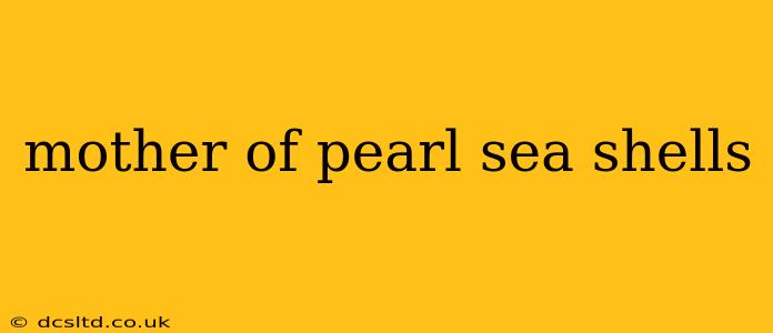 mother of pearl sea shells
