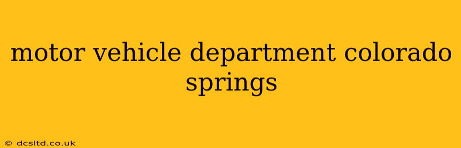 motor vehicle department colorado springs