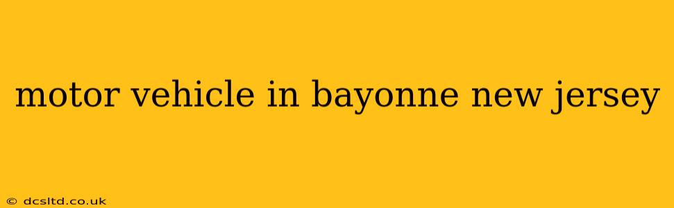 motor vehicle in bayonne new jersey