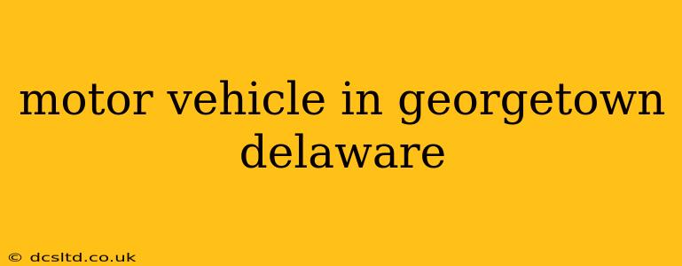 motor vehicle in georgetown delaware