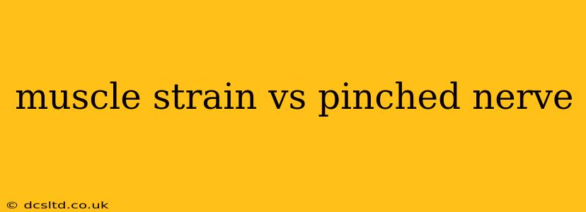 muscle strain vs pinched nerve