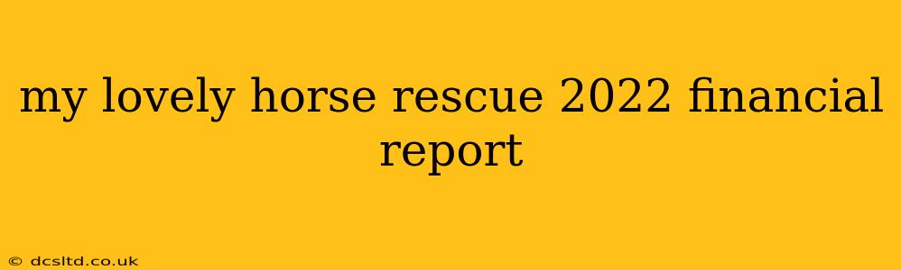 my lovely horse rescue 2022 financial report