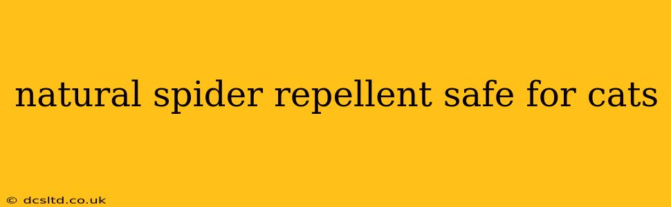 natural spider repellent safe for cats