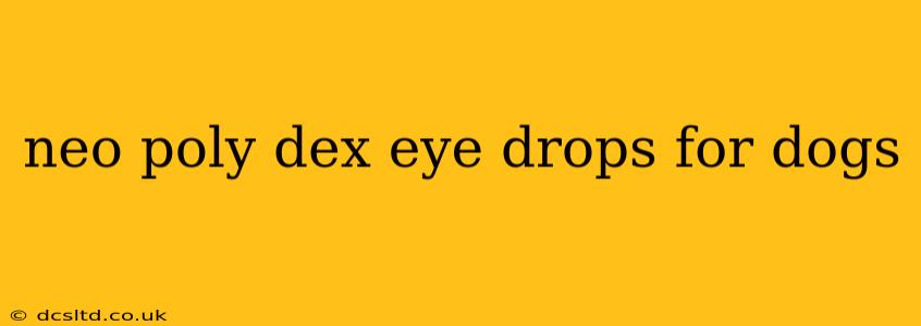 neo poly dex eye drops for dogs