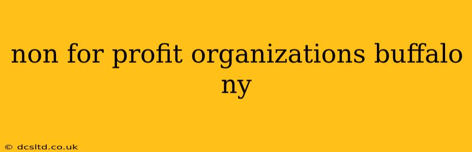 non for profit organizations buffalo ny