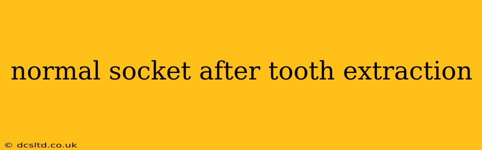normal socket after tooth extraction