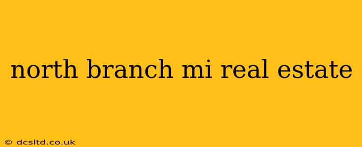 north branch mi real estate