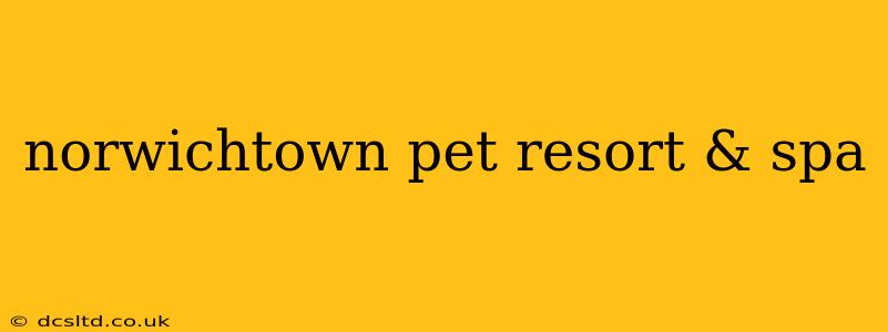norwichtown pet resort & spa