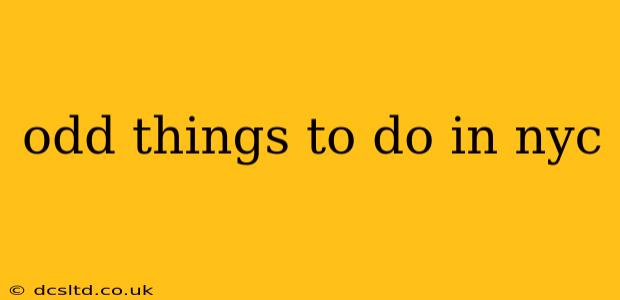 odd things to do in nyc