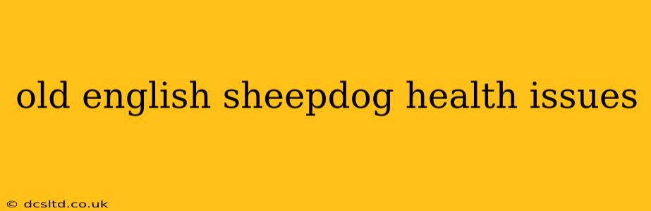 old english sheepdog health issues