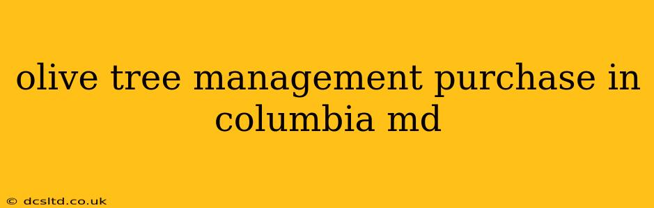 olive tree management purchase in columbia md
