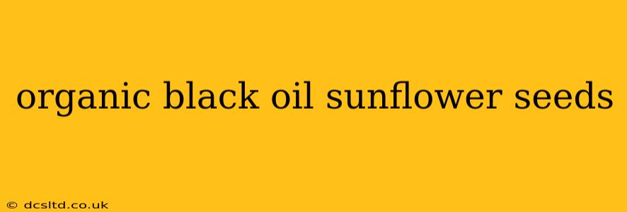 organic black oil sunflower seeds