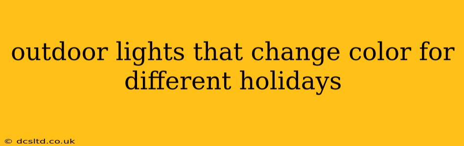 outdoor lights that change color for different holidays