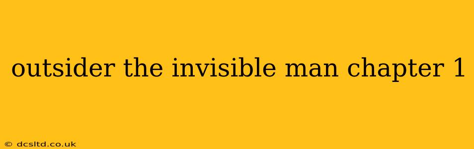 outsider the invisible man chapter 1