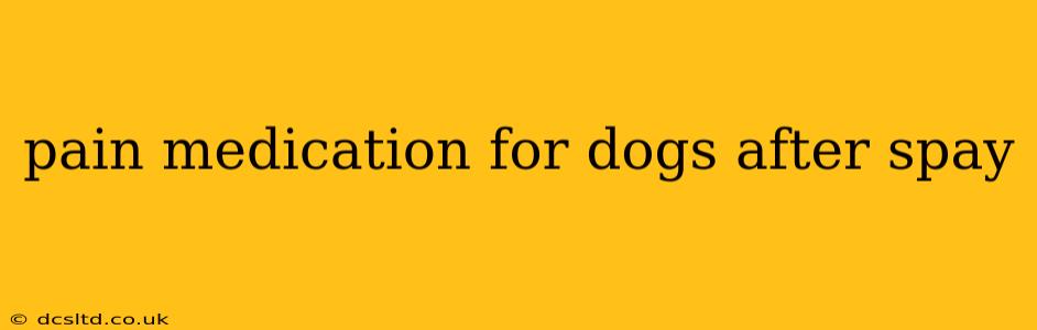 pain medication for dogs after spay