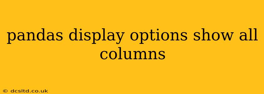 pandas display options show all columns