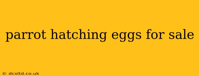 parrot hatching eggs for sale