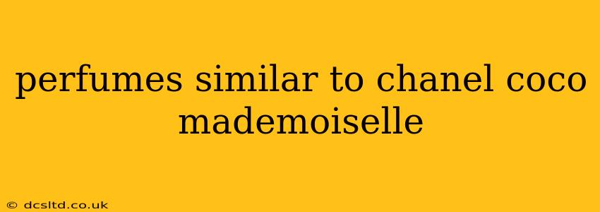 perfumes similar to chanel coco mademoiselle