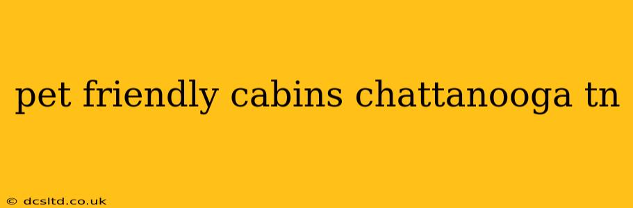 pet friendly cabins chattanooga tn
