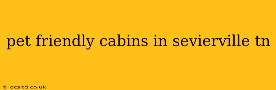 pet friendly cabins in sevierville tn