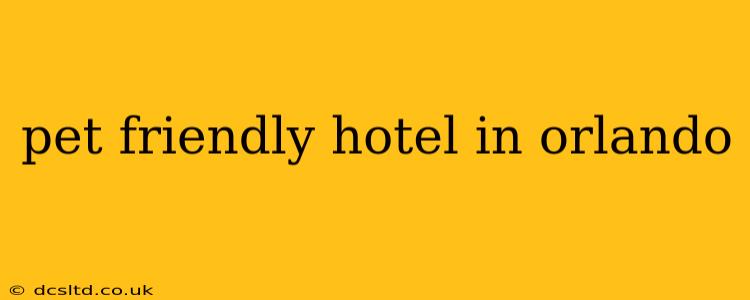 pet friendly hotel in orlando