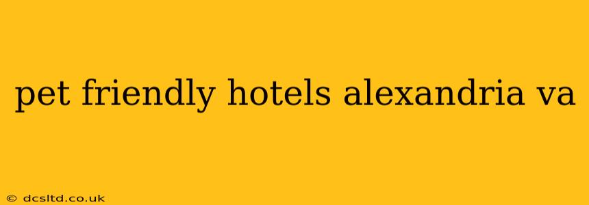 pet friendly hotels alexandria va