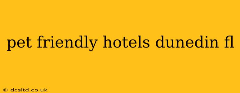pet friendly hotels dunedin fl