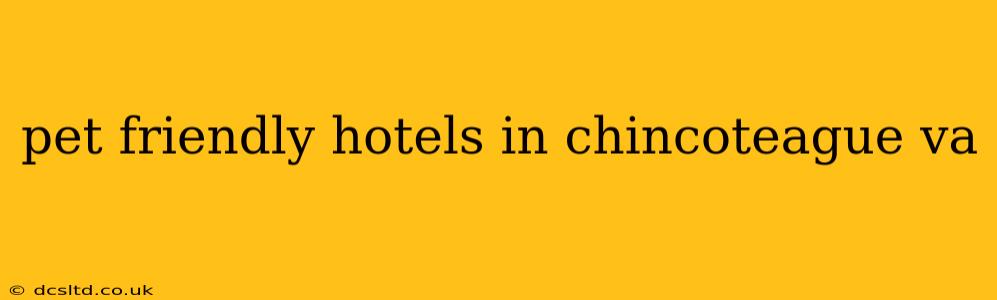 pet friendly hotels in chincoteague va