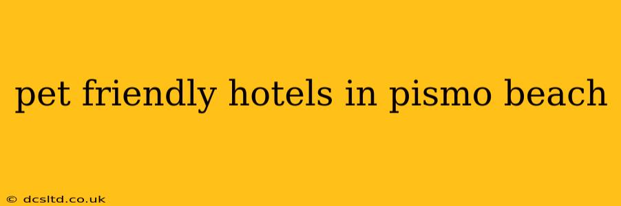 pet friendly hotels in pismo beach