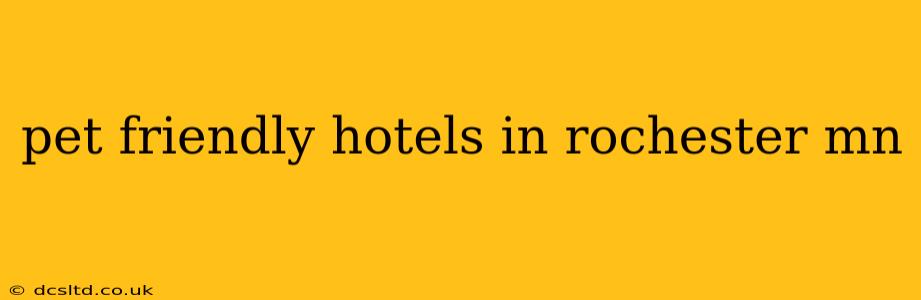 pet friendly hotels in rochester mn