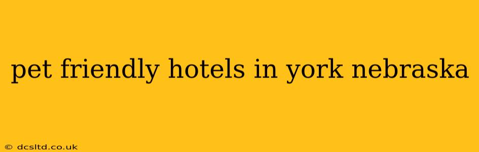 pet friendly hotels in york nebraska