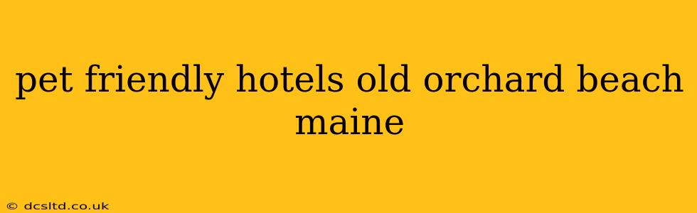 pet friendly hotels old orchard beach maine