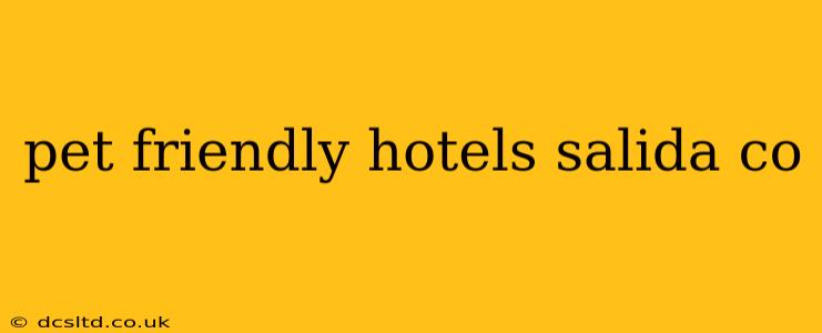 pet friendly hotels salida co