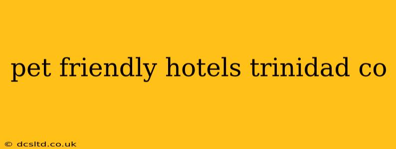 pet friendly hotels trinidad co