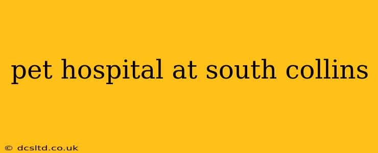 pet hospital at south collins