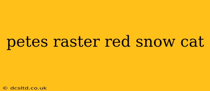 petes raster red snow cat