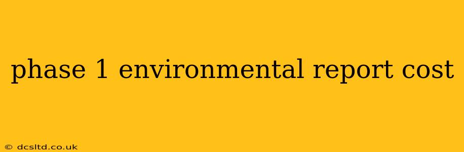 phase 1 environmental report cost