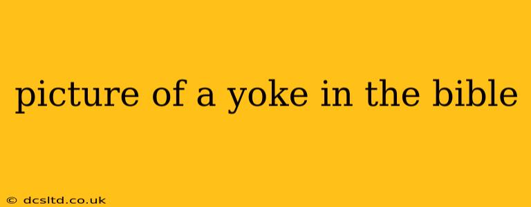 picture of a yoke in the bible