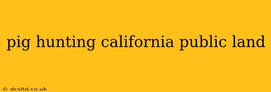 pig hunting california public land