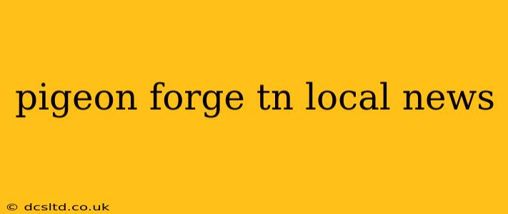 pigeon forge tn local news