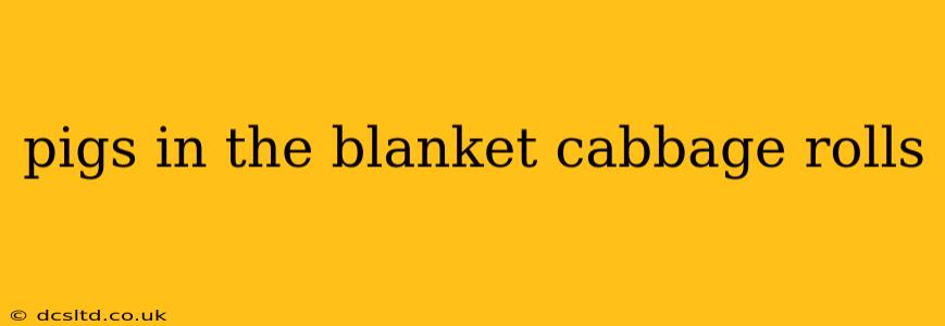 pigs in the blanket cabbage rolls