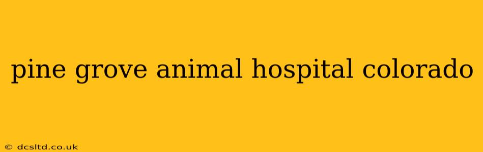 pine grove animal hospital colorado