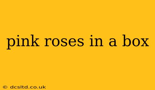 pink roses in a box